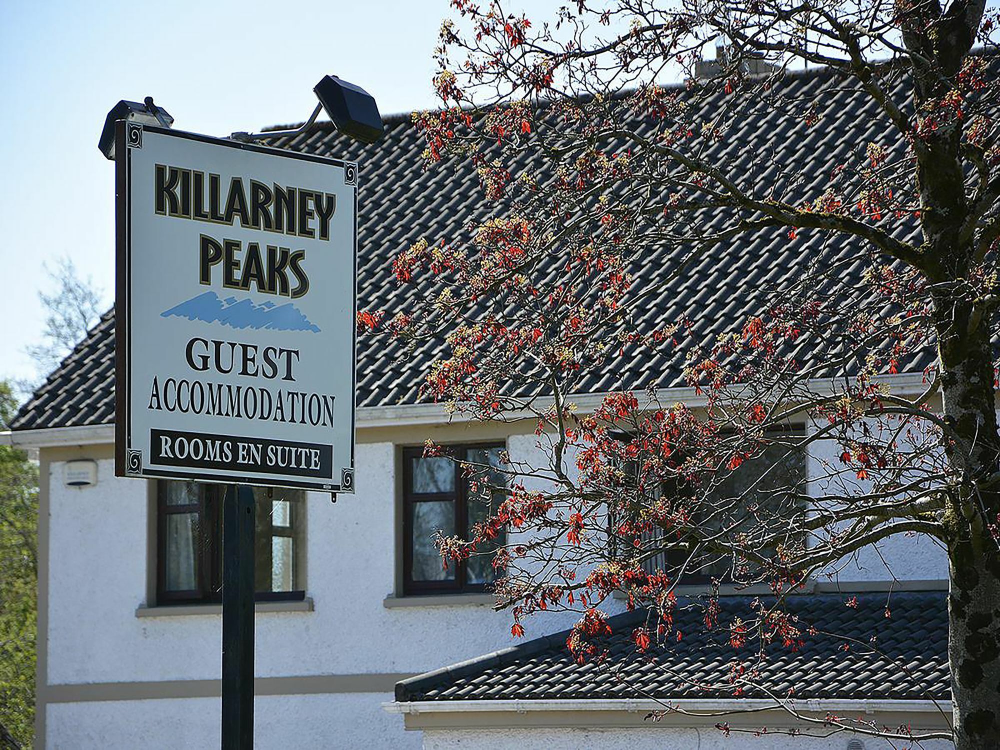 Killarney Peaks Guesthouse エクステリア 写真